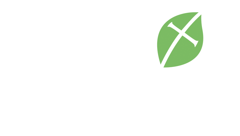 LifewithJesus_White.png